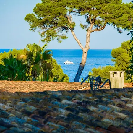 Provenzale Clos De Minerve * Juan-les-Pins